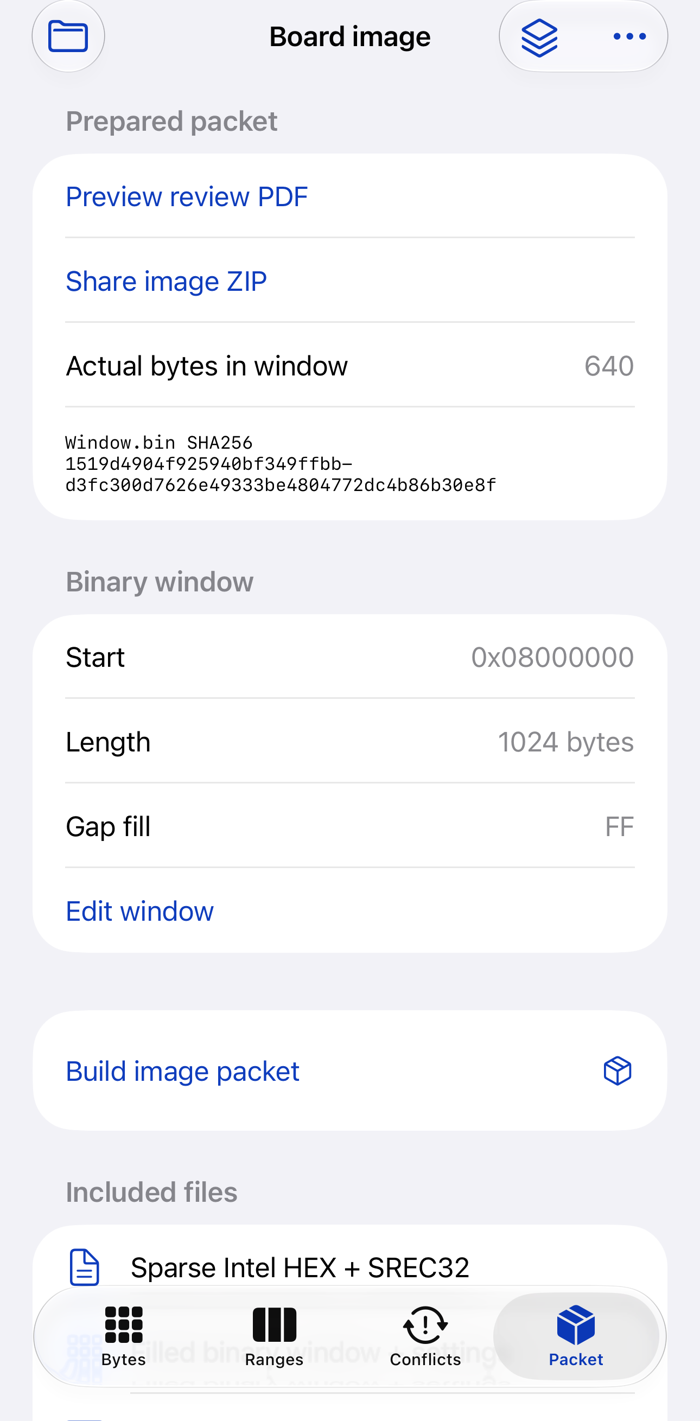 Actual generated packet and binary window settings