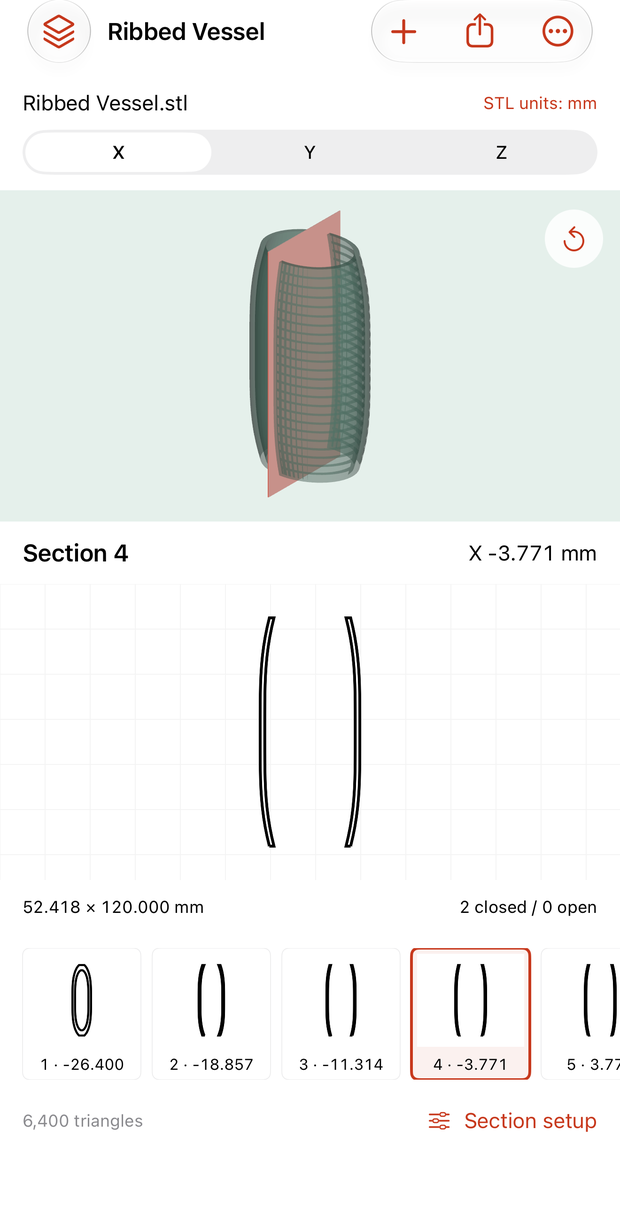 Actual X-axis section view of the original vessel