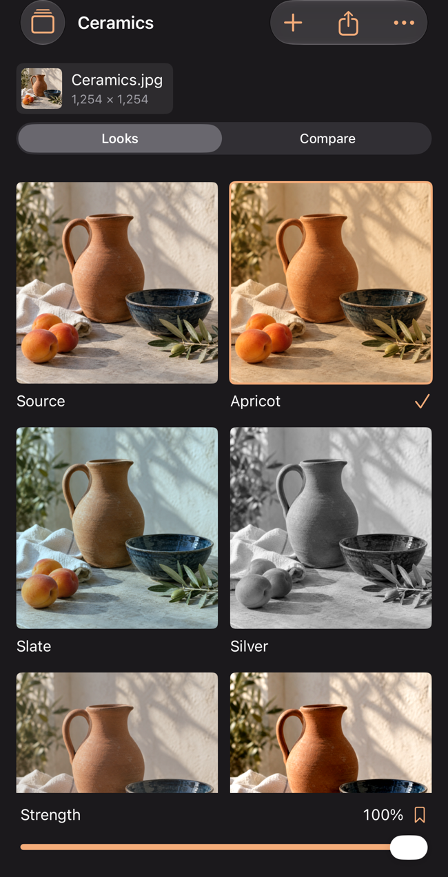 Actual Tintava iPhone look grid comparing Source, Apricot, Slate and Silver on the same ceramics photo