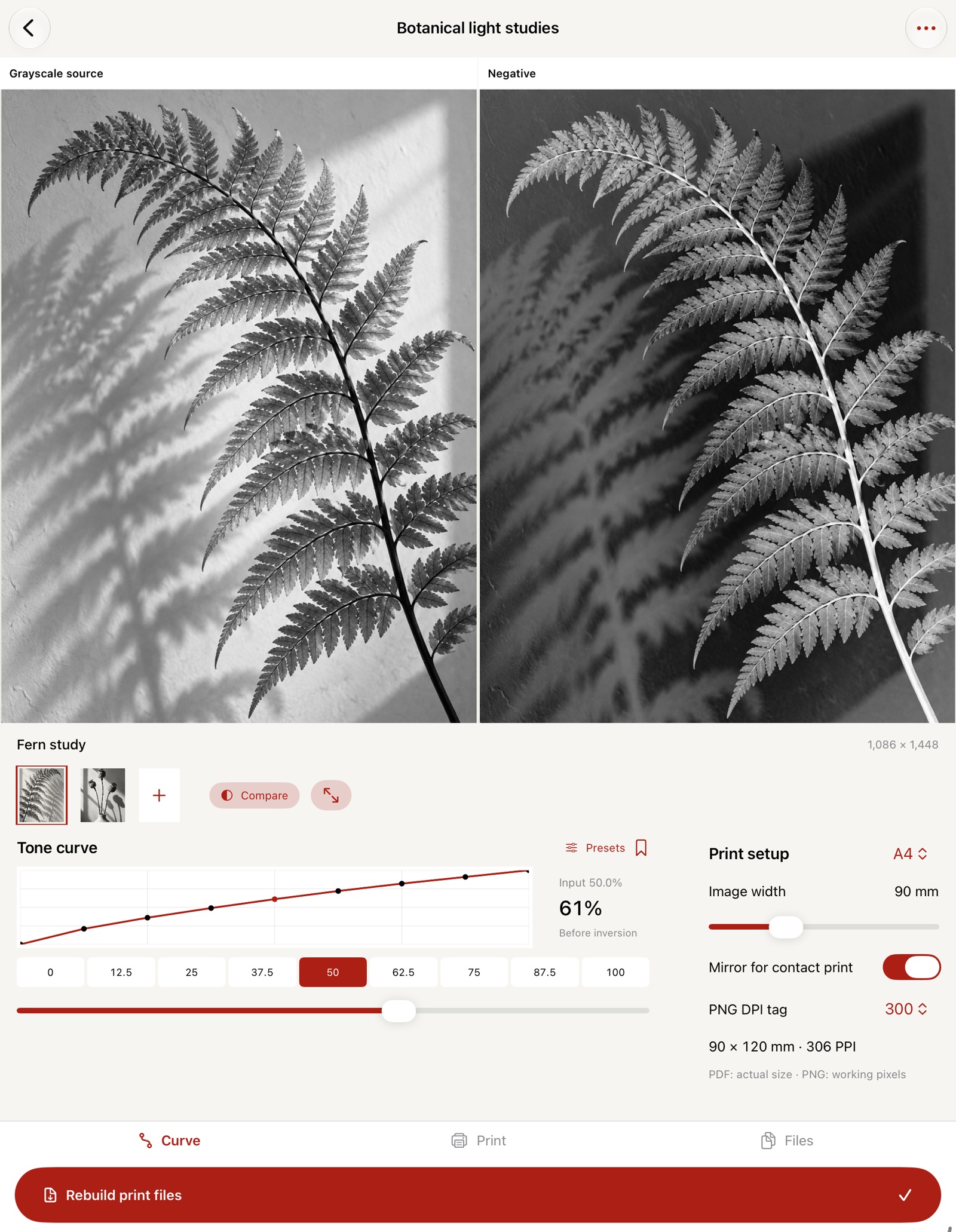 Actual Vantype iPad editor comparing grayscale source with processed negative and tone curve controls