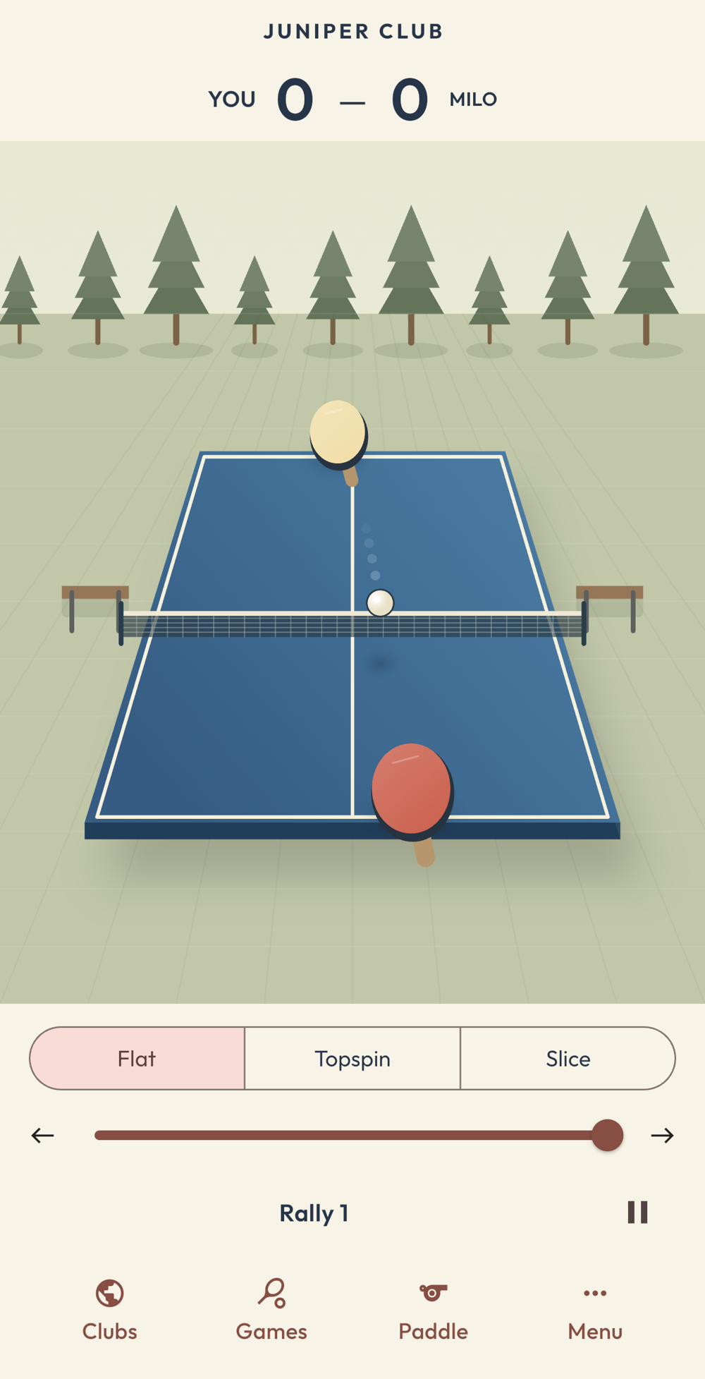 Actual Spinquet game screen, with court and shot controls